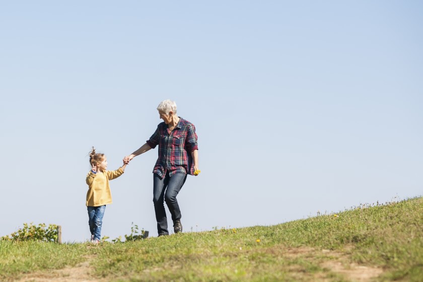 Kinship and Adoption Navigator Program - Grandfamilies & Kinship ...