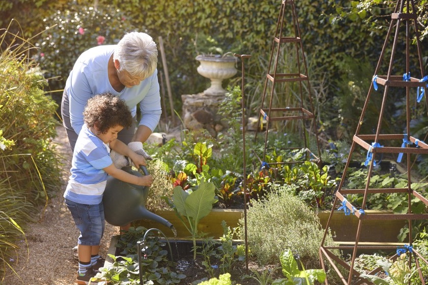 A grandmother and her young grandson water the garden together. Both the grandmother and the grandson are holding a water bucket.
