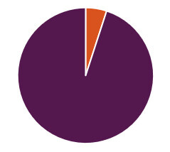 Pie chart signifying that 95% of AAAs offer services to older kin caregivers, and 5% of AAAs do not offer services to older kin caregivers.