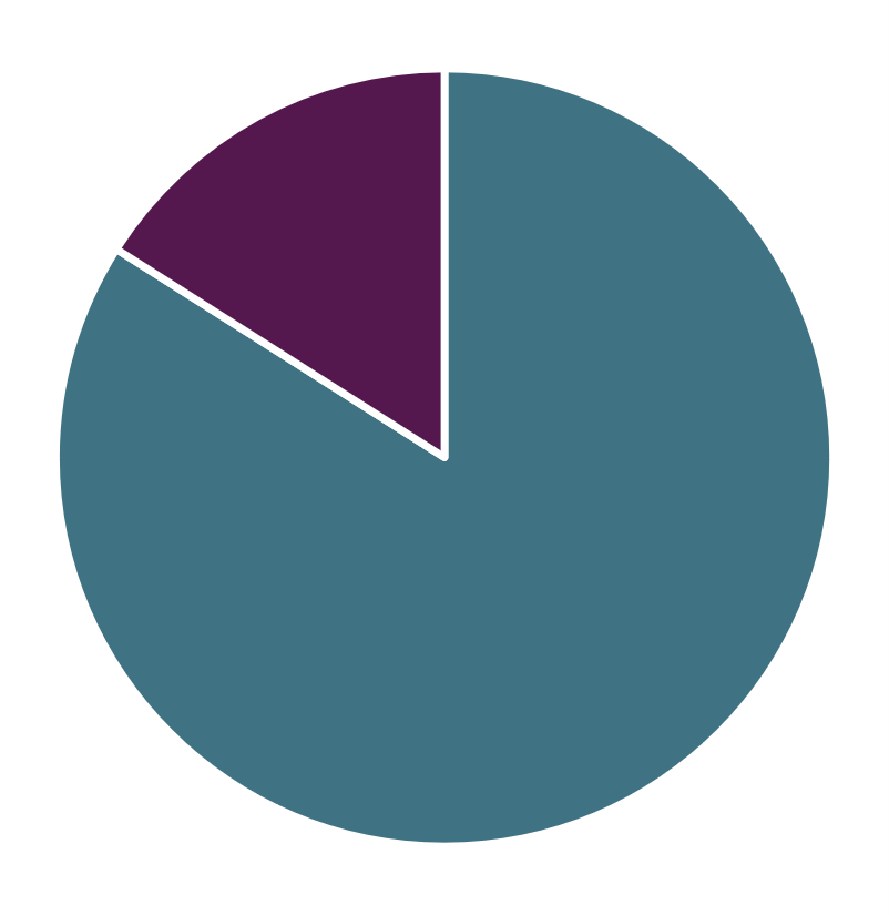 Pie chart showing pieces with 16% and 84%