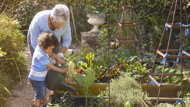 A grandmother and her young grandson water the garden together. Both the grandmother and the grandson are Black
