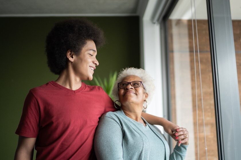 Curated visual reference: Visual Reference: Government Nonprofit Partnerships For Kinship Grandfamilies