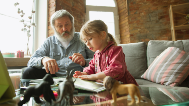 A white grandfather watches as his young granddaughter carefully plays with something small on top of a large open book