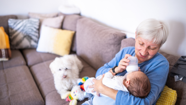 A white grandmother bottle feeds her baby grandchild